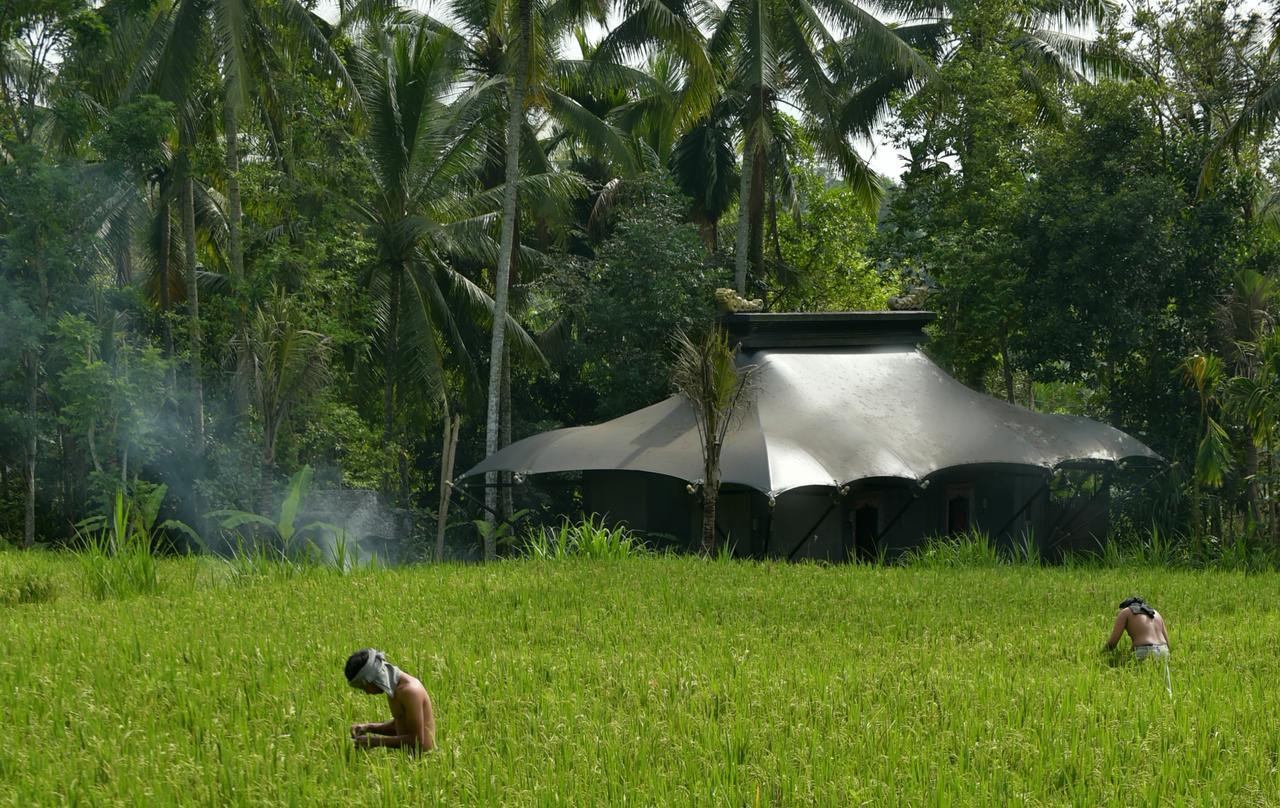 Capella Ubud, Bali Eksteriør billede