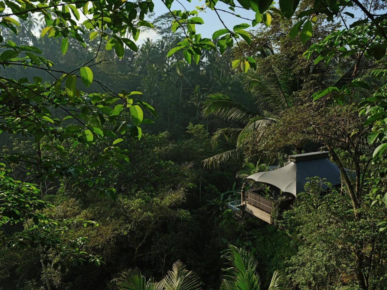 Capella Ubud, Bali Eksteriør billede